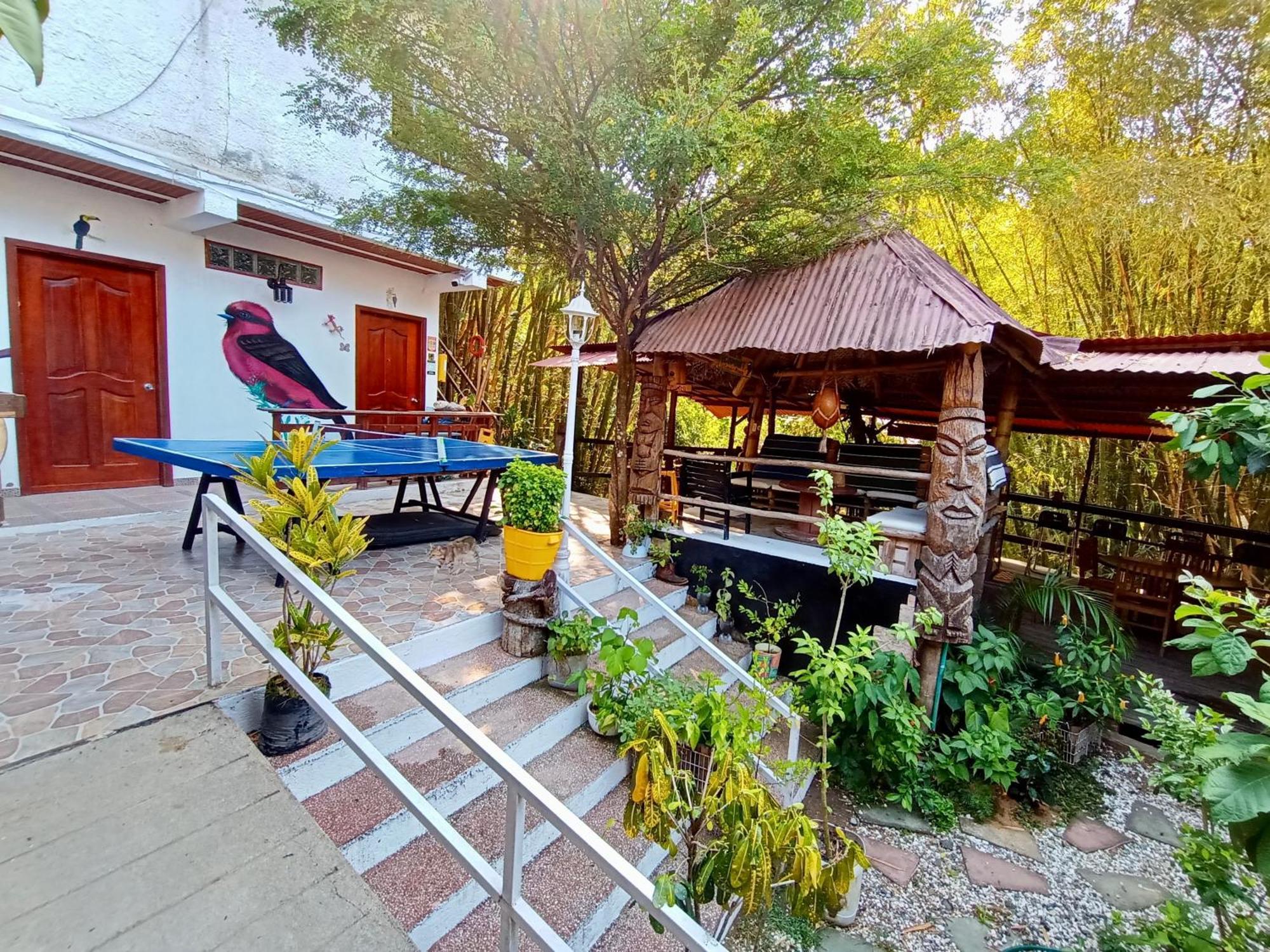 Hostal Las Mariposas Minca Exteriér fotografie