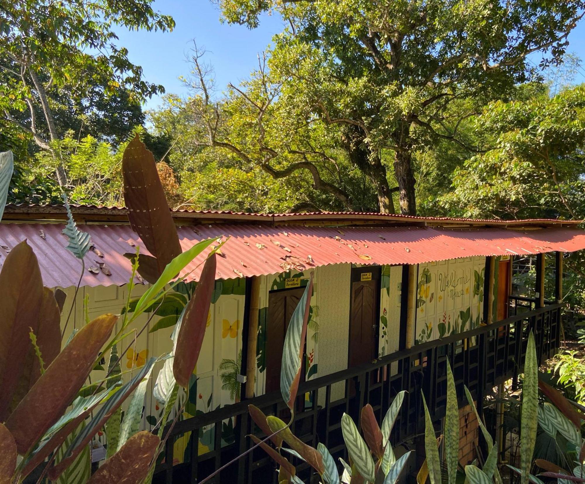 Hostal Las Mariposas Minca Exteriér fotografie