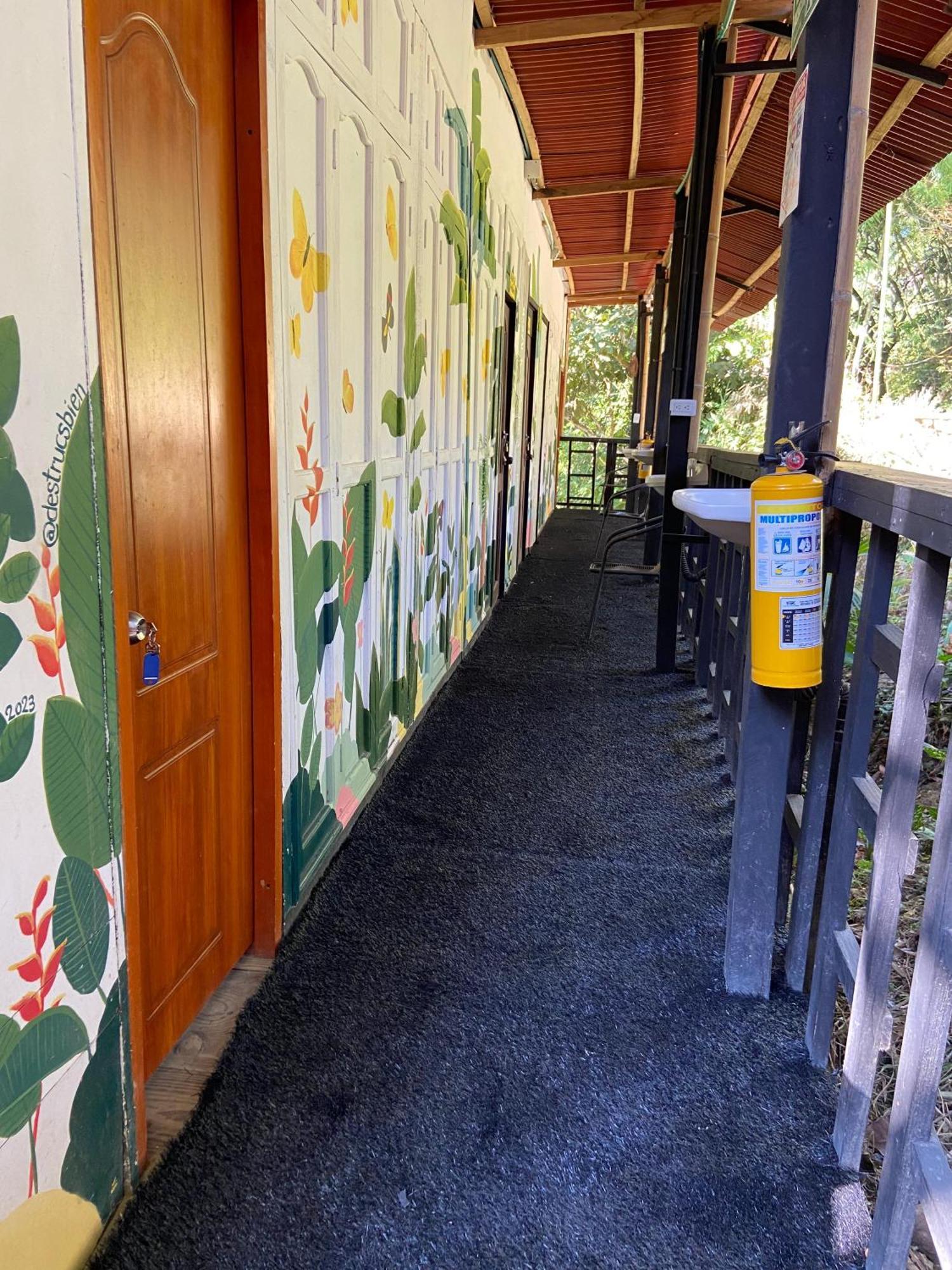 Hostal Las Mariposas Minca Exteriér fotografie