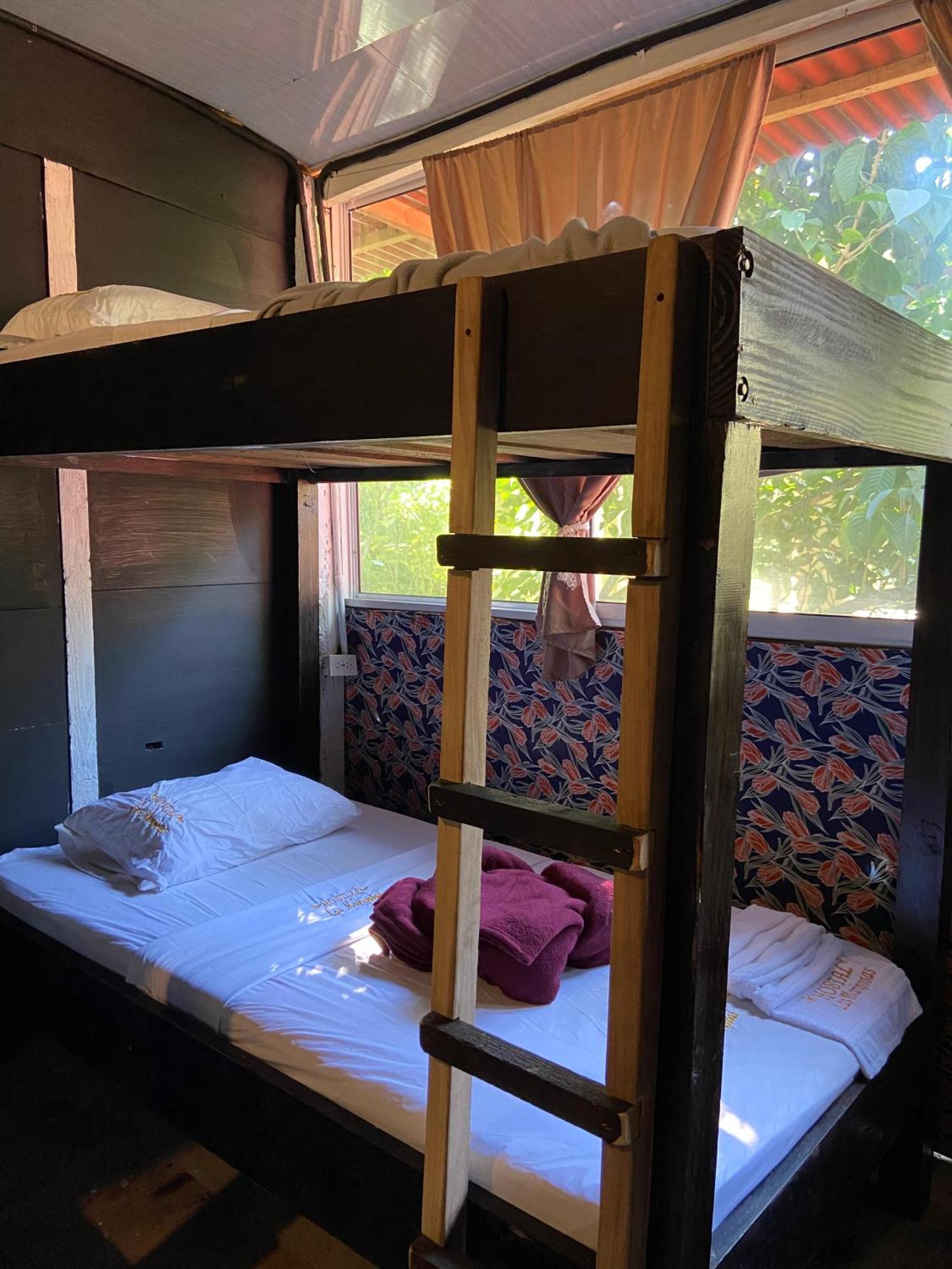 Hostal Las Mariposas Minca Exteriér fotografie