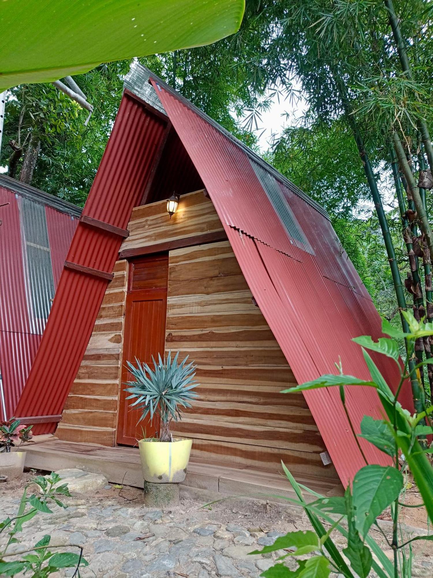 Hostal Las Mariposas Minca Exteriér fotografie
