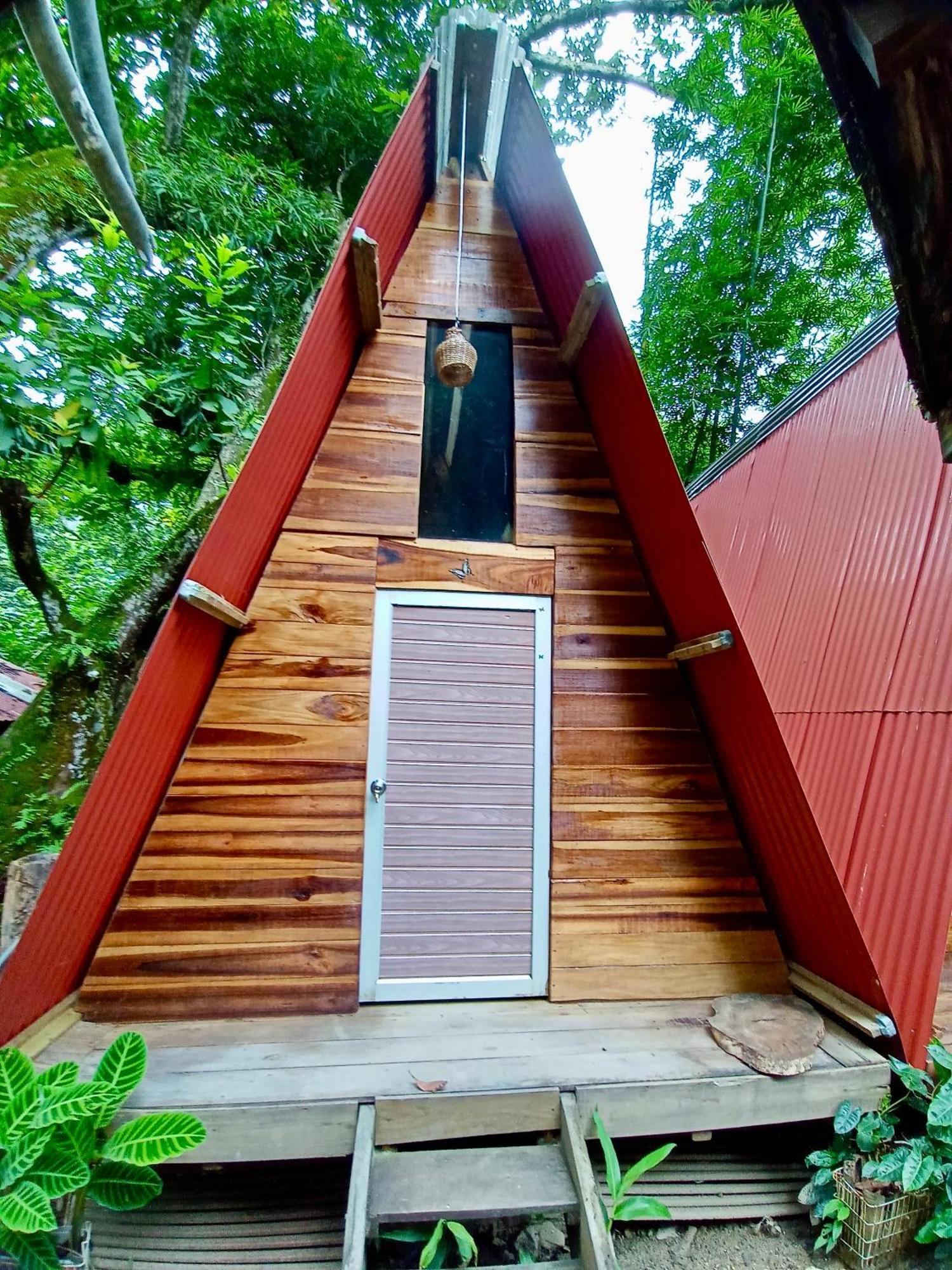 Hostal Las Mariposas Minca Exteriér fotografie
